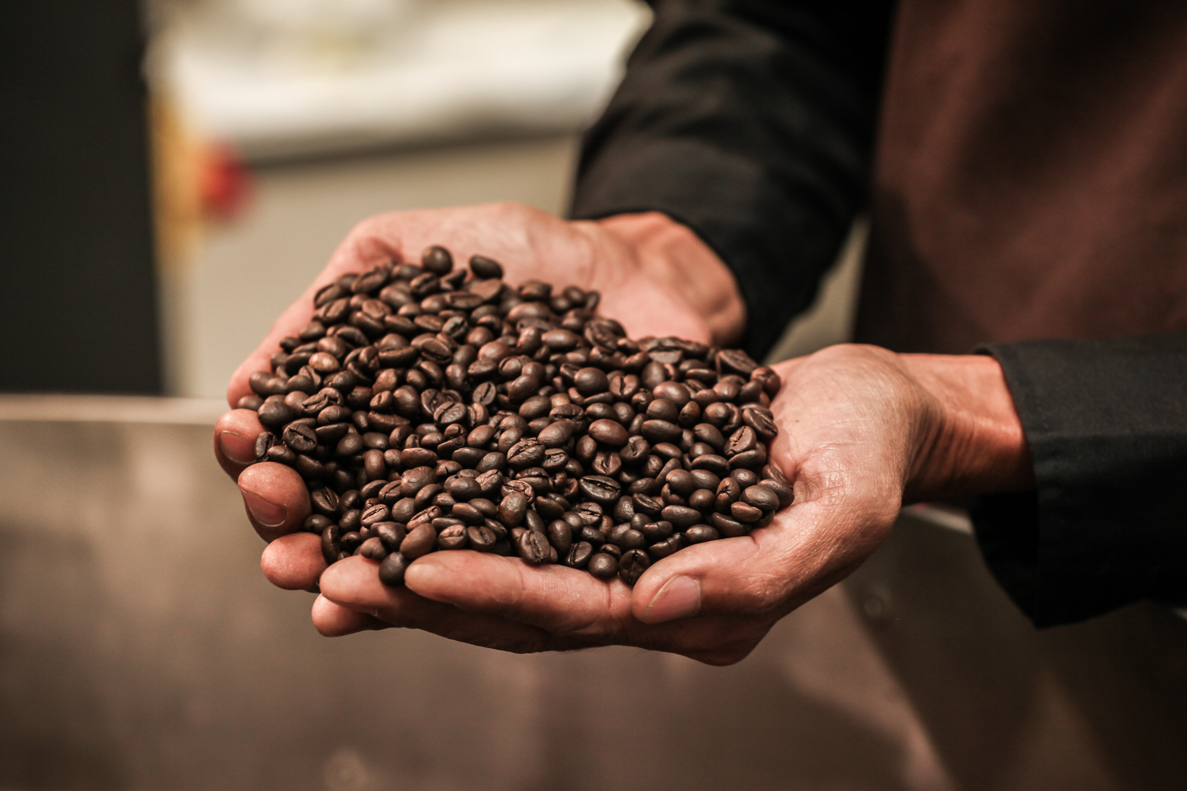Man houdt 2 handen vol koffiebonen vast