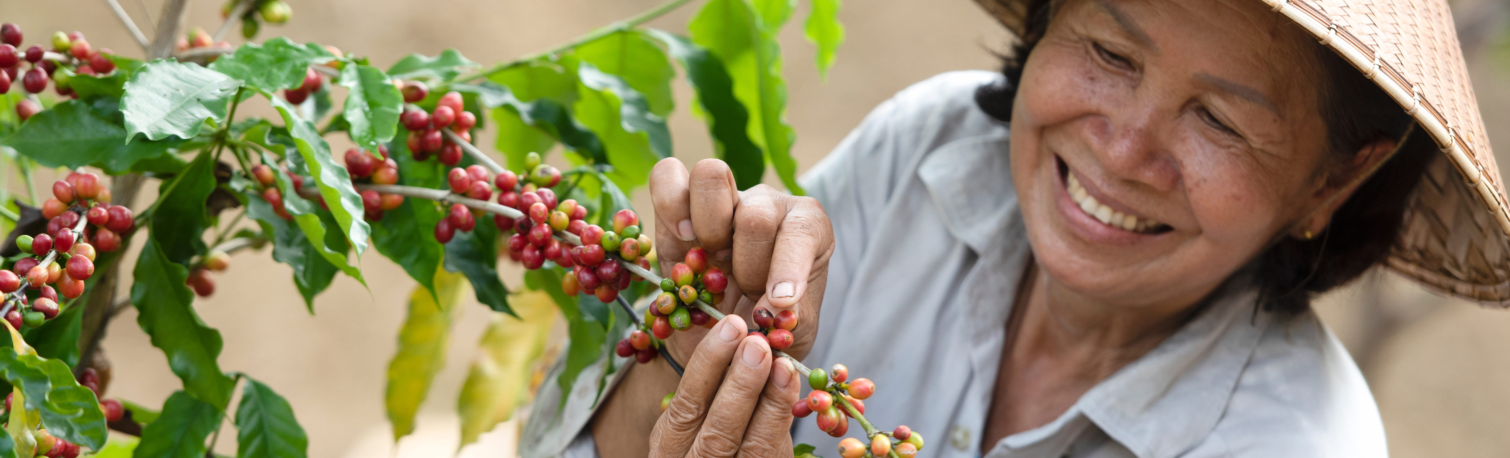 Een vrolijke vrouwelijke koffiebonen teler