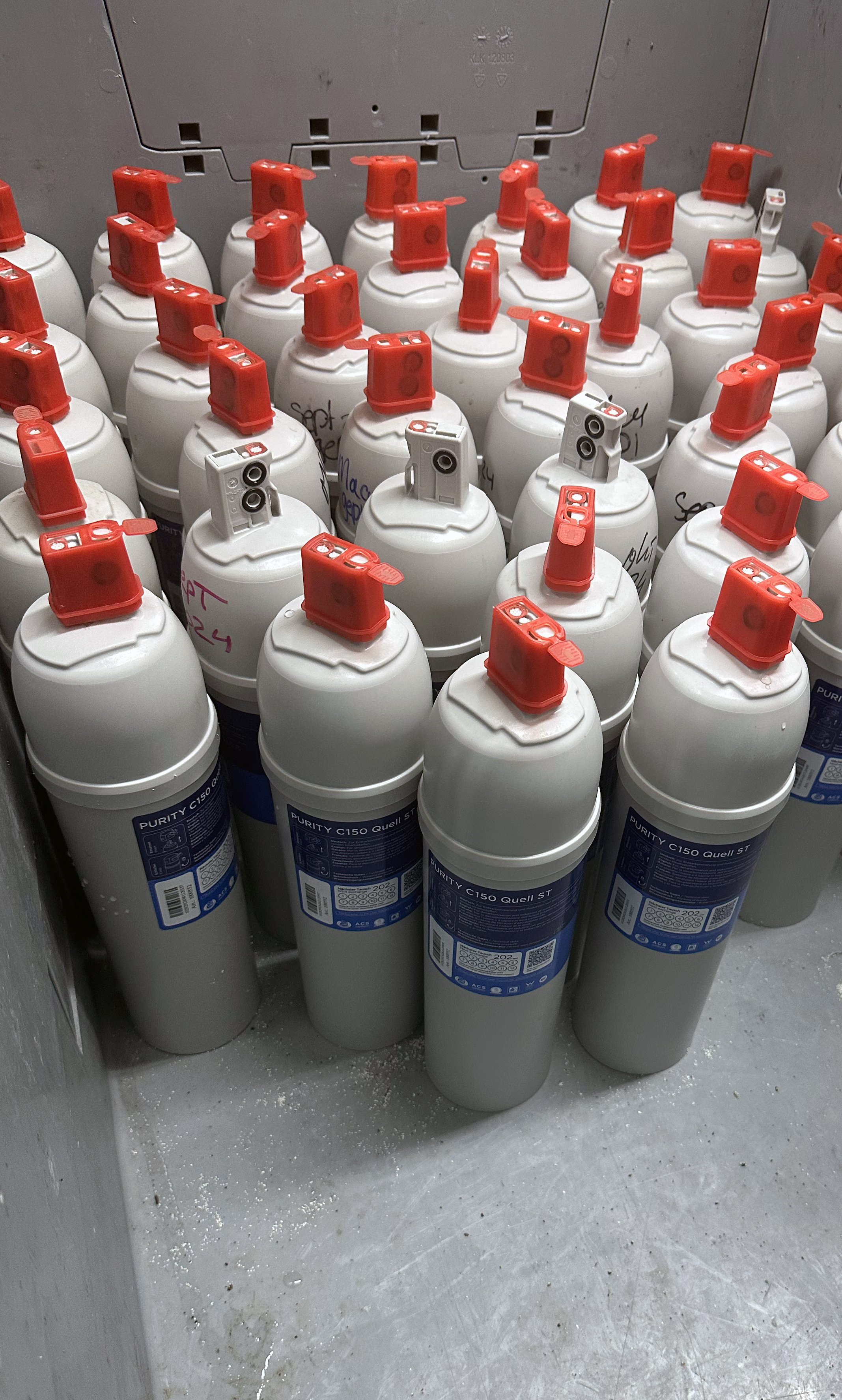 Een vrolijke vrouwelijke koffiebonen teler