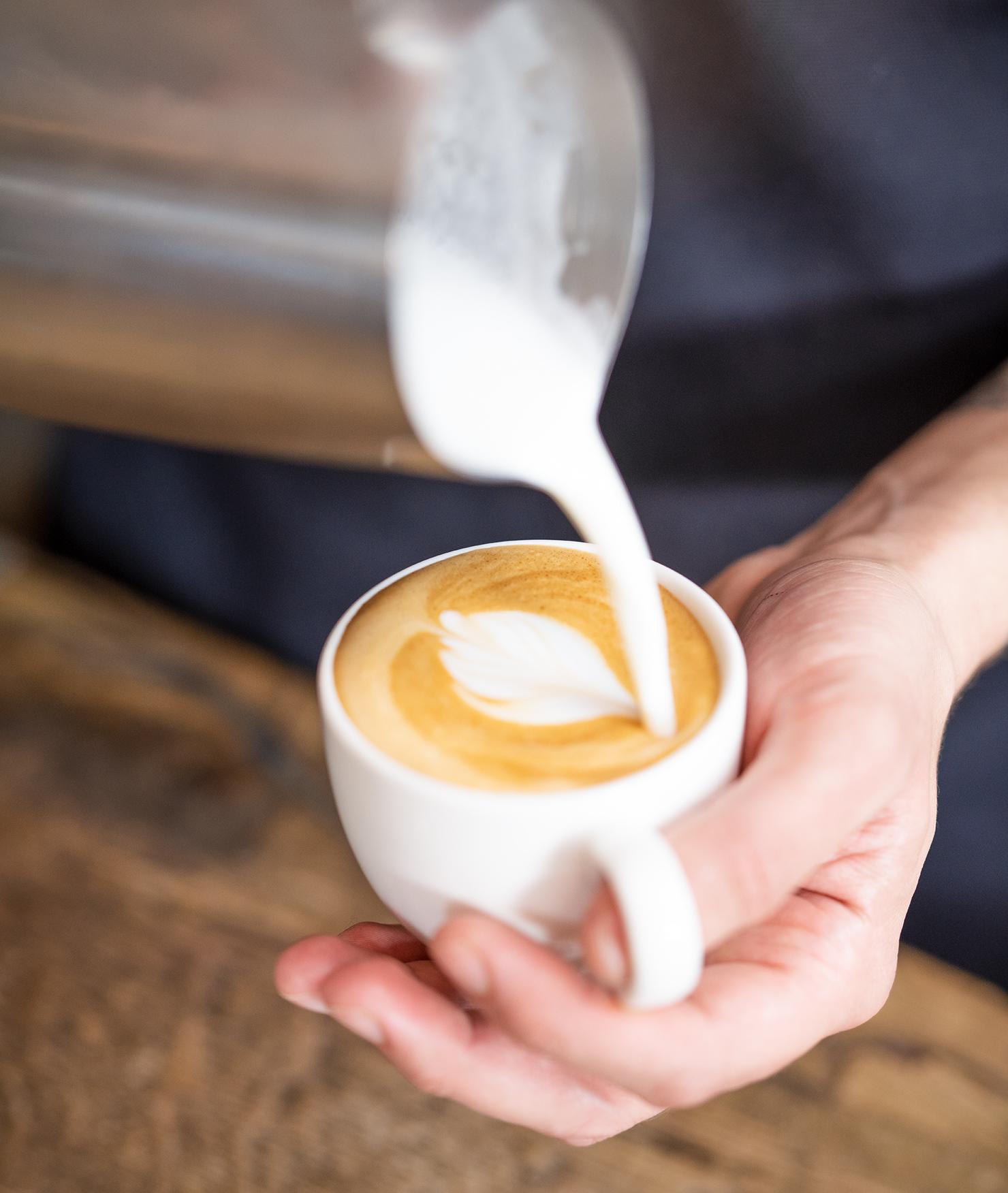 Handen die koffiebonen plukken